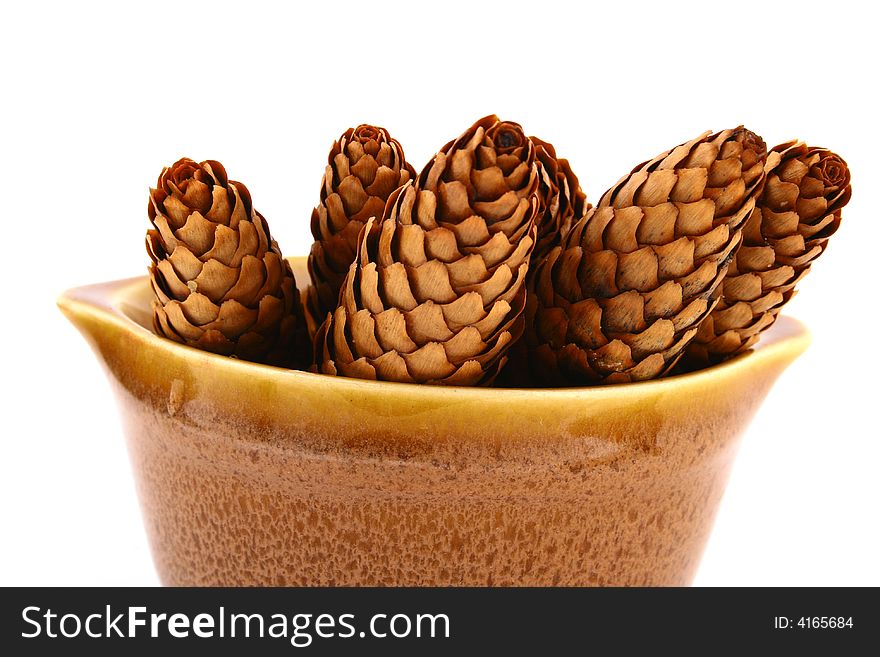 Wood pine fir cones