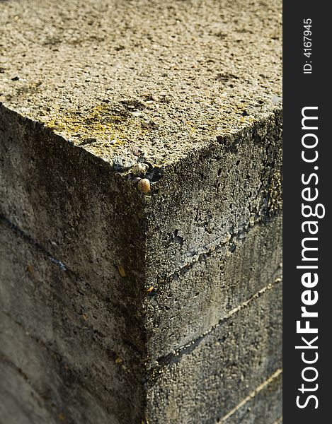 Concrete texture suitable for background or wallpaper. Concrete texture suitable for background or wallpaper