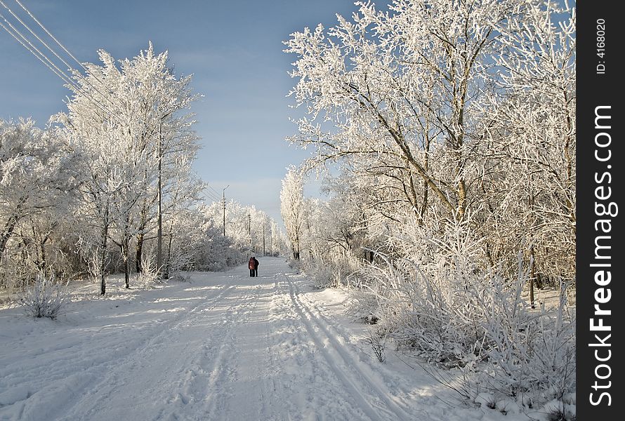 Winter park during solar weather