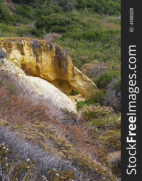 An unusual yellow rock nestled in a hillside of wildflowers