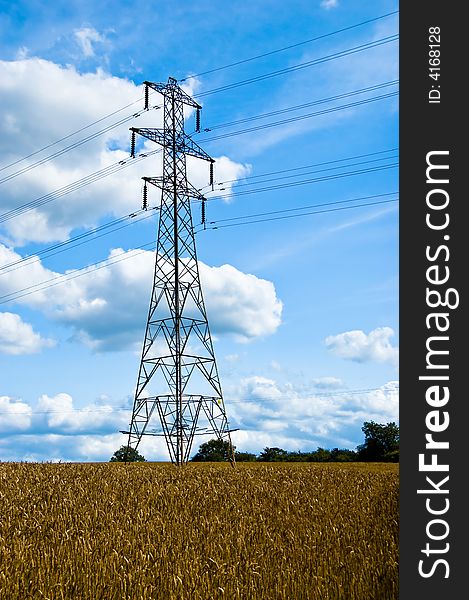 An electricity pylon in a field of wheat. An electricity pylon in a field of wheat