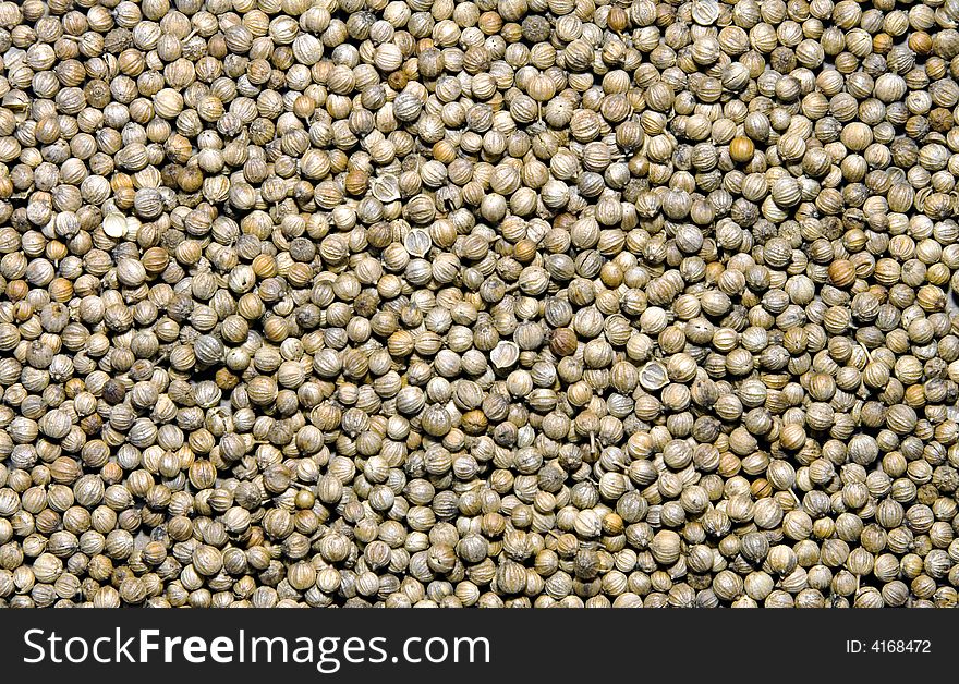 Background of dried coriander seeds (a fruit)