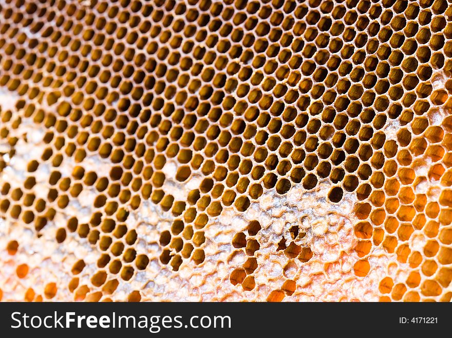 Honeycomb macro with cells