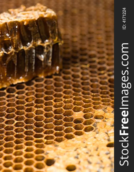 Macro Honeycomb With Piece