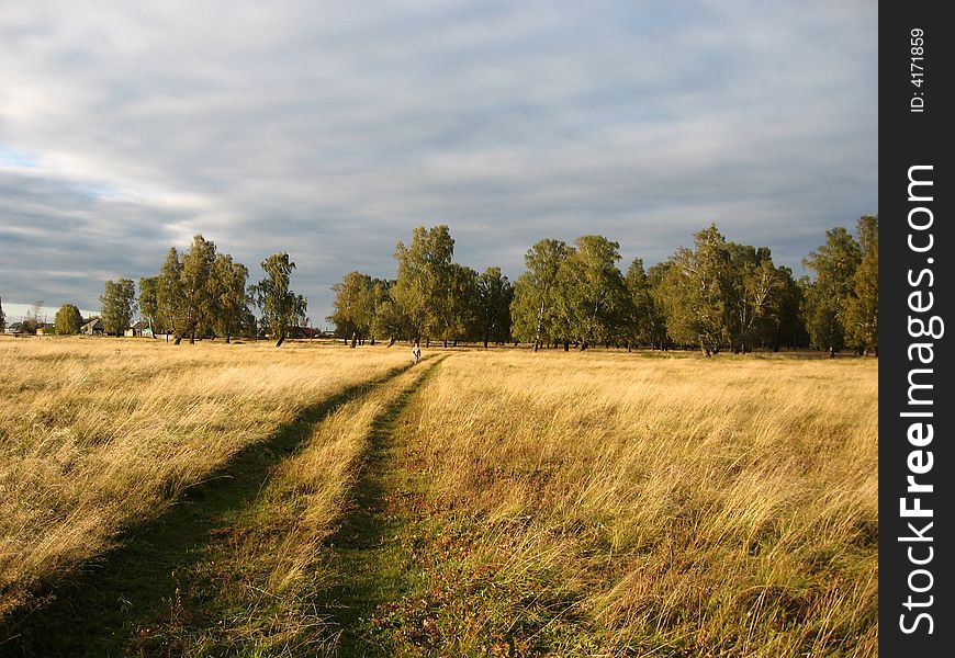 Middle september grove before Izmodenovo village covered by cereals. Middle september grove before Izmodenovo village covered by cereals