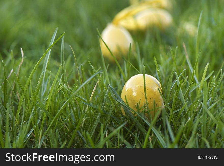 Yellow easter eggs in gras