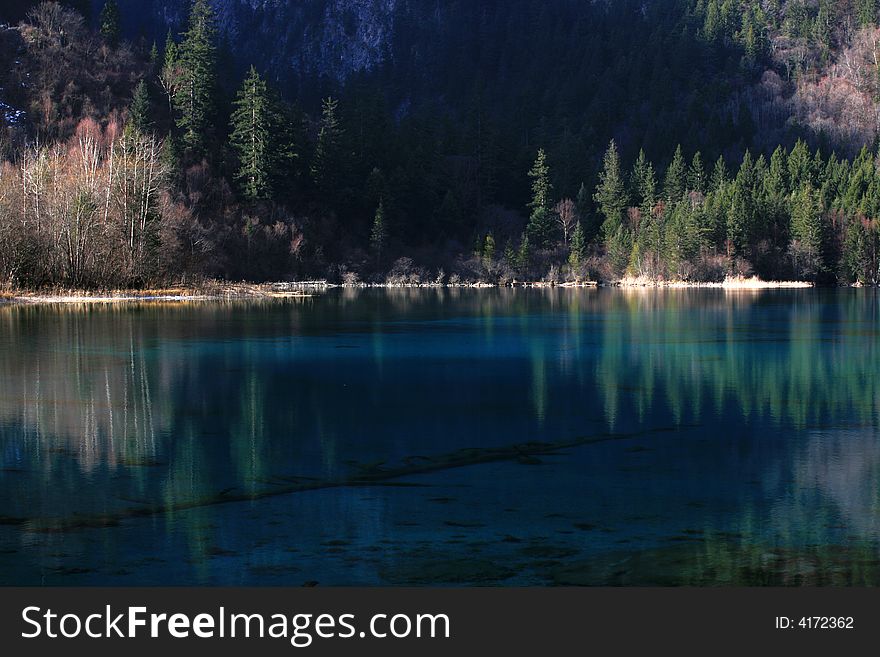 This is Five Flowers Lake in Jiuzhaigou, Sichuan Province, P.R. China. With thousands of years old calcified trees were in the blue lake. This is Five Flowers Lake in Jiuzhaigou, Sichuan Province, P.R. China. With thousands of years old calcified trees were in the blue lake.