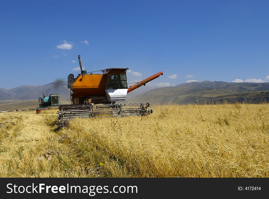 The technics harvests wheats on a floor