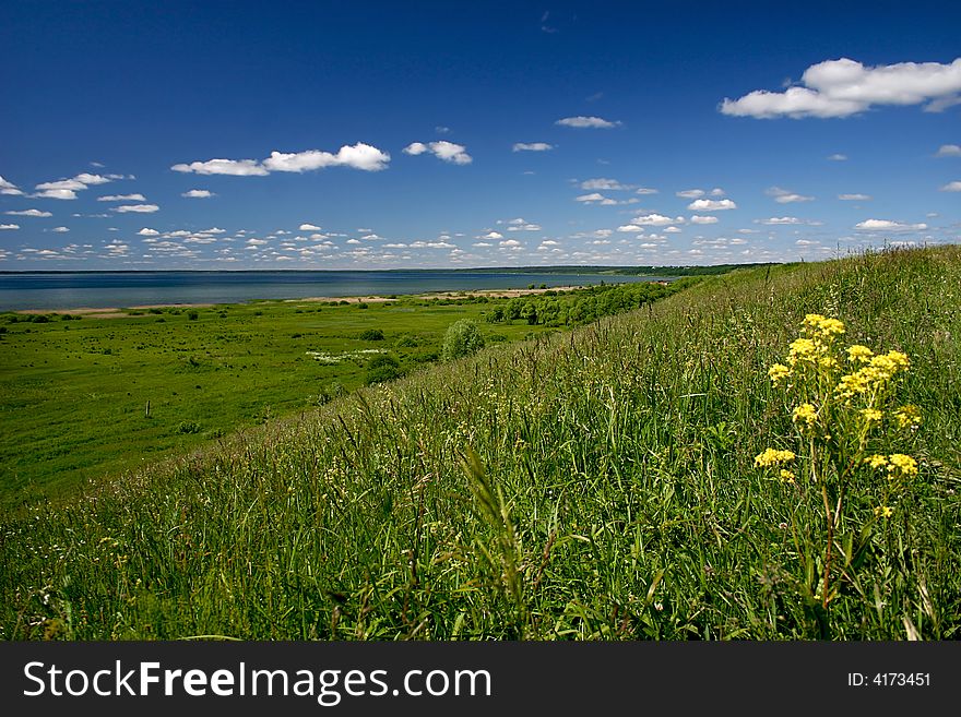 Sunny landscape with lake and grass. Sunny landscape with lake and grass