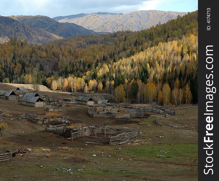 It is a small Village on the way from Kanas to Hemu, which is surrounded by the birch forest on the mountain. 
Northern Xinjiang, China. It is a small Village on the way from Kanas to Hemu, which is surrounded by the birch forest on the mountain. 
Northern Xinjiang, China.