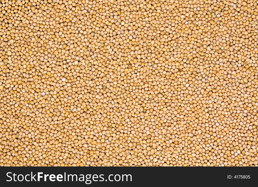 Mustard seed spice used for a background. Mustard seed spice used for a background