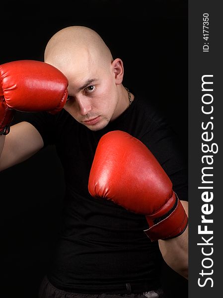 Portrait of the boxer on a black background. Portrait of the boxer on a black background.