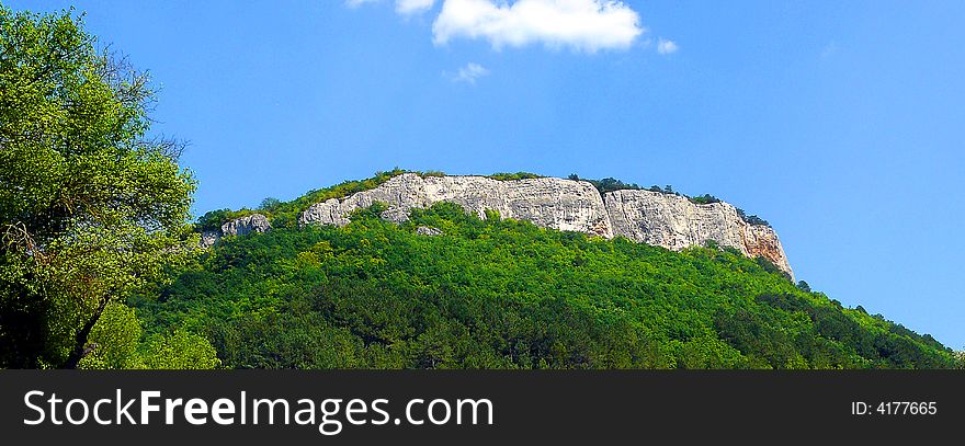 Panoramic Image of the Hill Covered by Green Forest. Panoramic Image of the Hill Covered by Green Forest