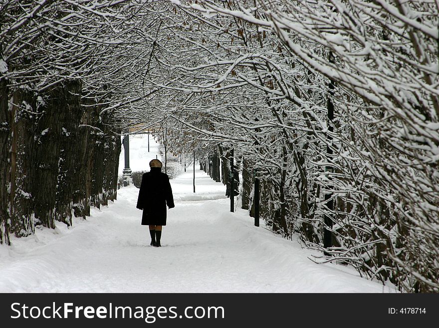 The Path in snow. Woman on path. The Path in snow. Woman on path