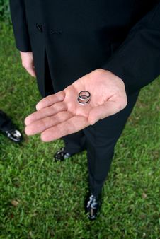 Groom Holding Wedding Rings Stock Images
