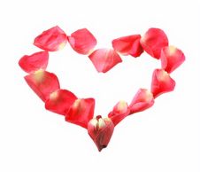 HEART FROM ROSES Stock Photography HEART FROM ROSES Stock Photography