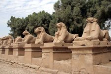 Sheeps Statues In Karnak Temple Royalty Free Stock Photography Sheeps Statues In Karnak Temple Royalty Free Stock Photography