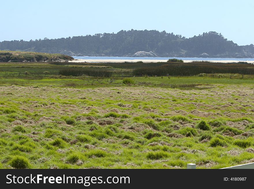 A grassy meadow with the ocean in the background