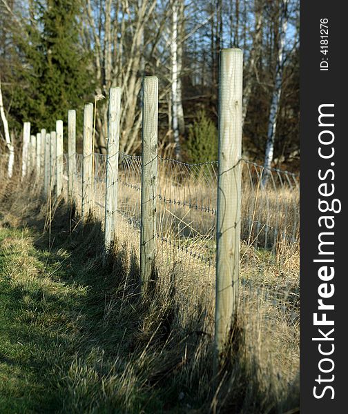Fence with tree poles with focus on second pole