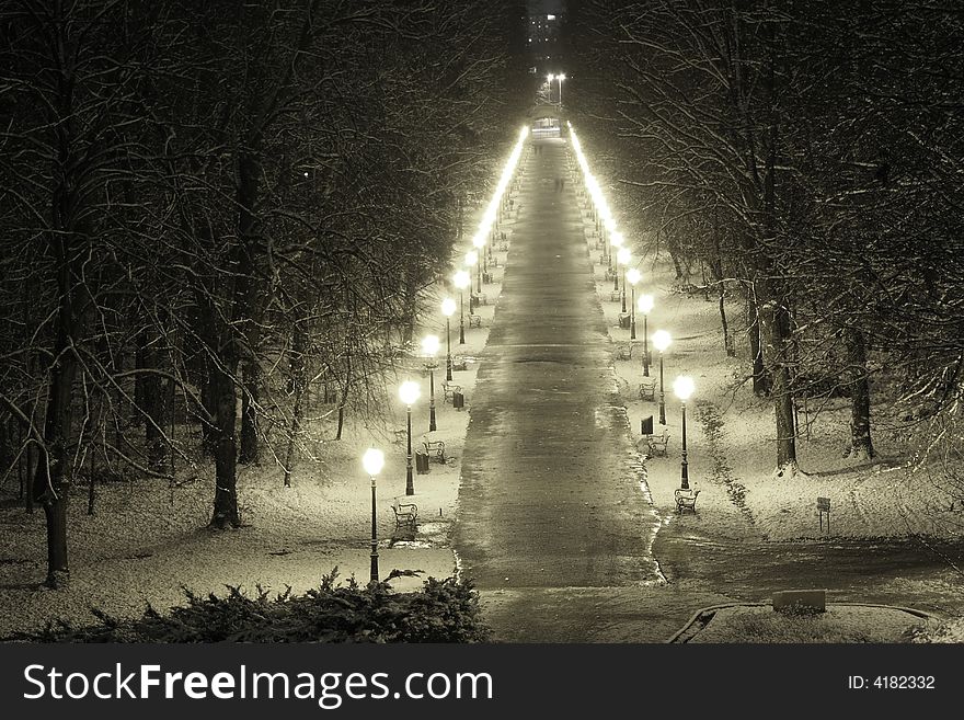 Path in park at night