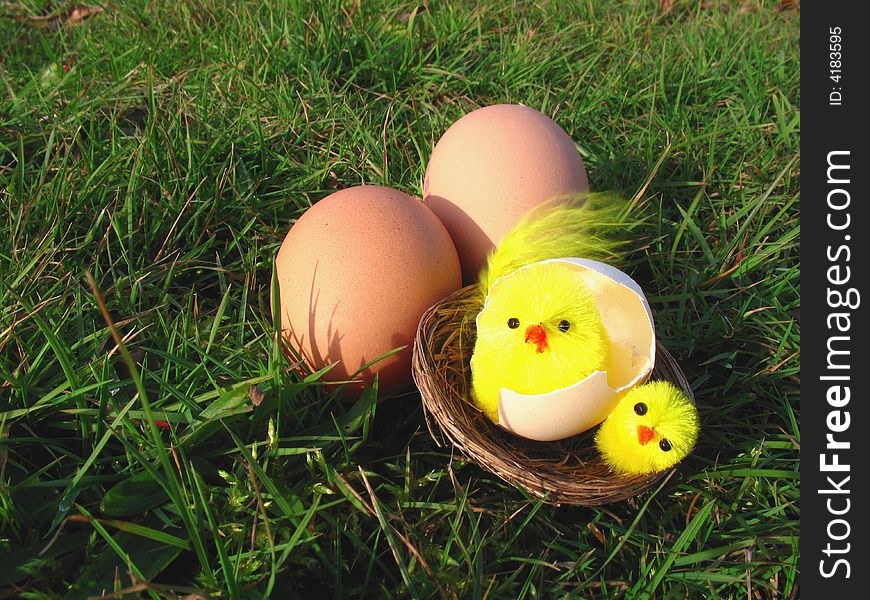 Easter still life with grass, eggs and chicken