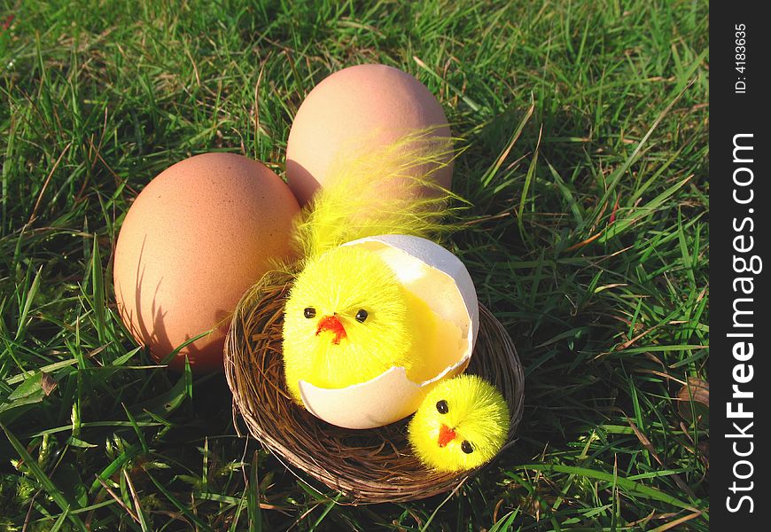 Easter still life with grass, eggs and chicken