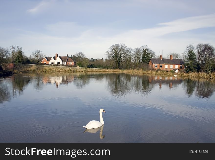 Houses next to lake with swan.