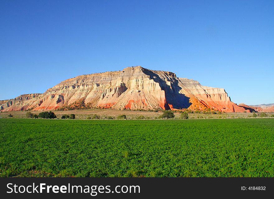 View of a hay Field with red rock mountain in the background. View of a hay Field with red rock mountain in the background
