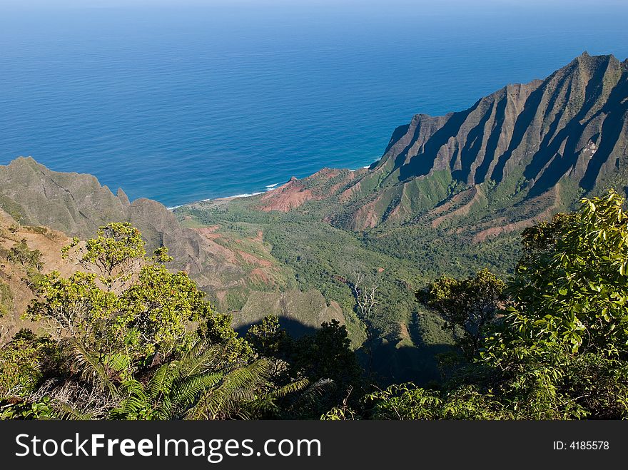 Kokee State Park Ocean Vista