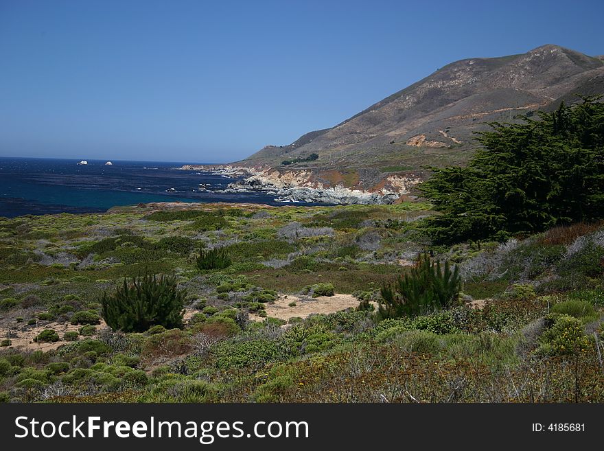 Ocean Scene in Big Sur, California