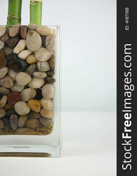 Bamboo potted in glass vase with rocks against a light blue background. Contemporary composition. Bamboo potted in glass vase with rocks against a light blue background. Contemporary composition