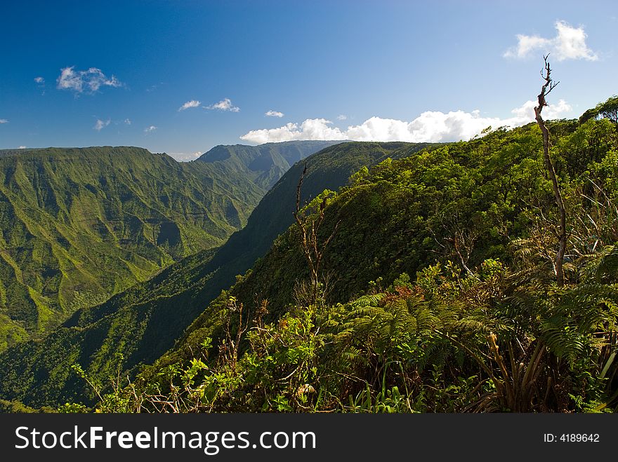 View of the landscape in Kokee State Park on the island of Kauai, Hawaii.