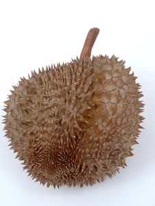 Durian Royalty Free Stock Photography Durian Royalty Free Stock Photography