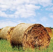 Hay Bales Royalty Free Stock Photo Hay Bales Royalty Free Stock Photo