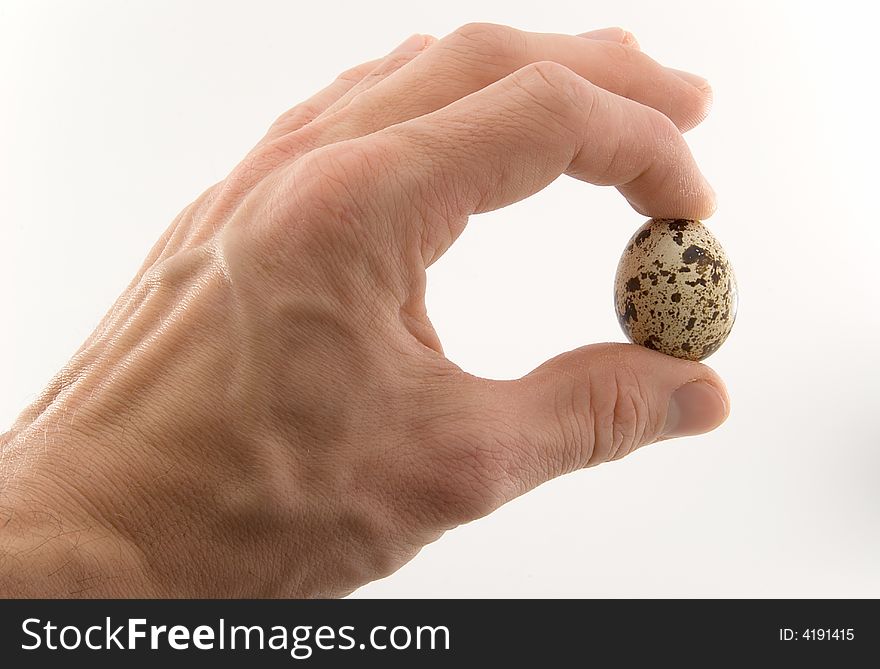 Quail egg in fingers on the white background