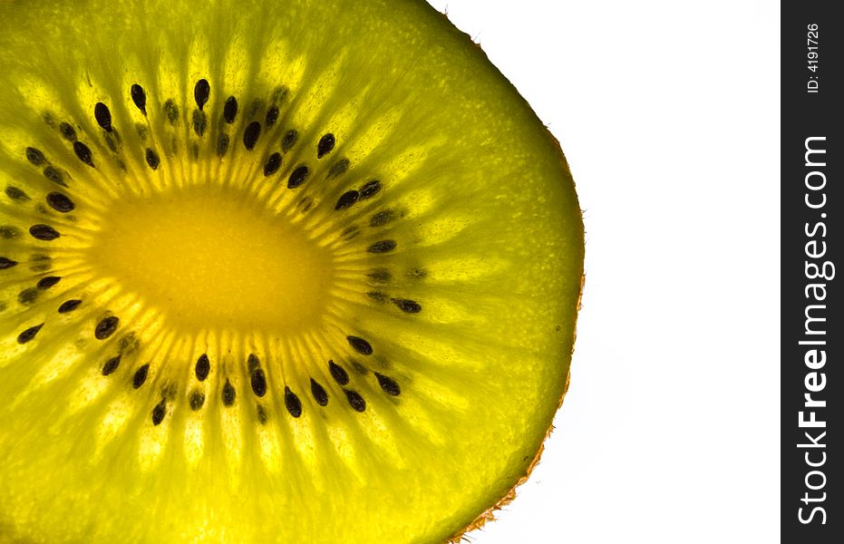 Kiwi view against the light with white blackground. Kiwi view against the light with white blackground