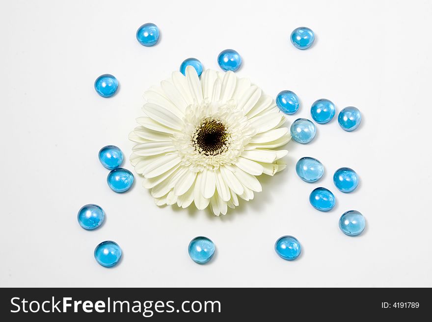 A white flower with blue glass stone decoration for special occasions