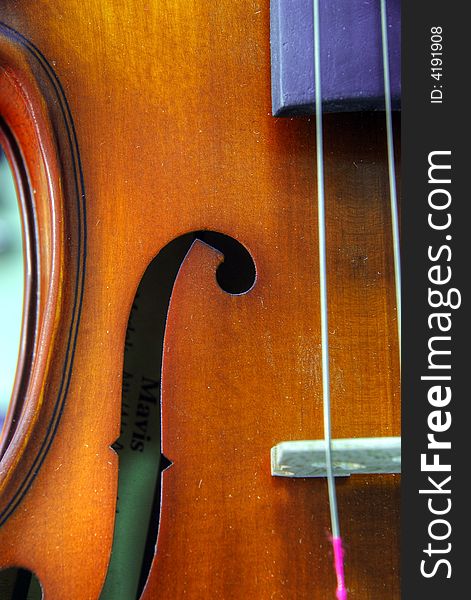 The wooden violin. Macro. The strings.