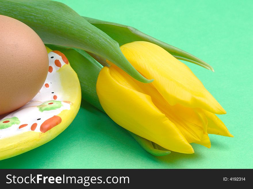 Close up of 
Yellow tulip