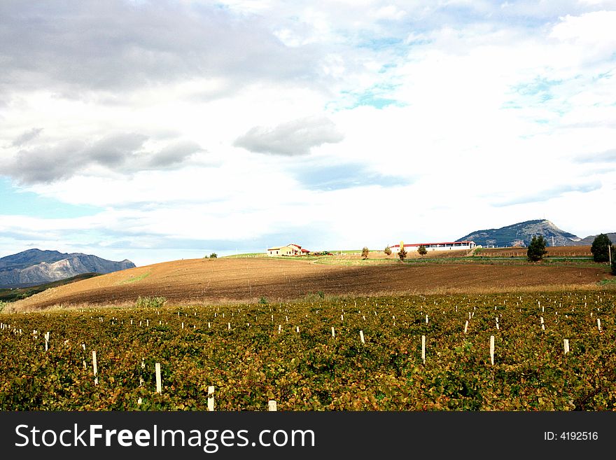 Italian autumnal farmland