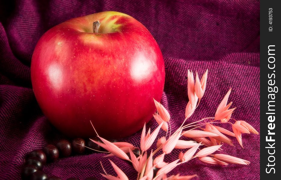 Red apple rose ikebana flower wooden necklace macro. Red apple rose ikebana flower wooden necklace macro