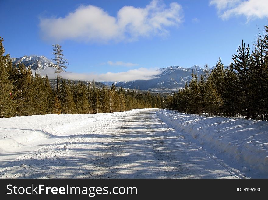 Winter Road In Canadian Rockies