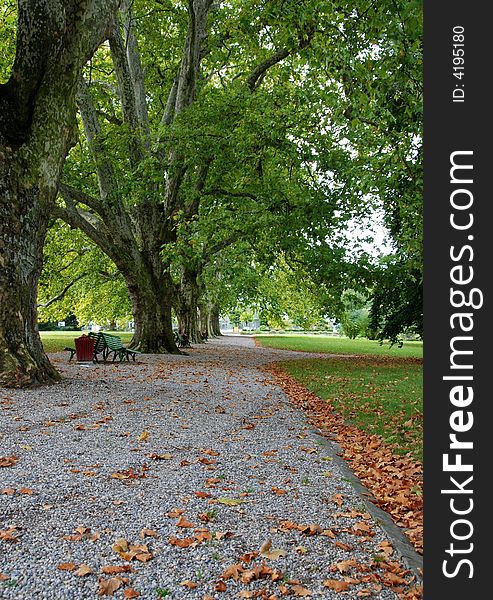 Park during autumn. Park is at Geneva.