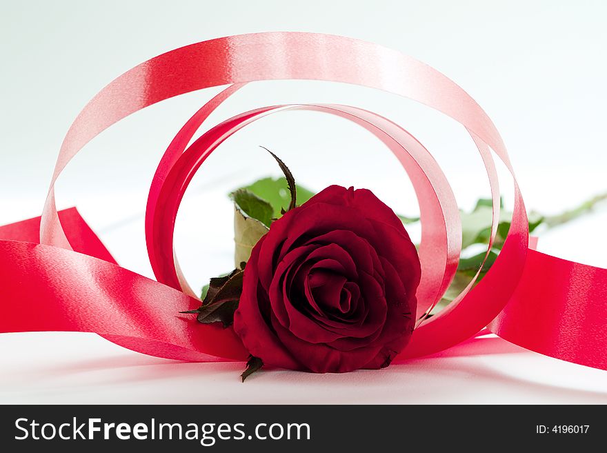 Red rose with circles of red ribbons around on white background. Red rose with circles of red ribbons around on white background