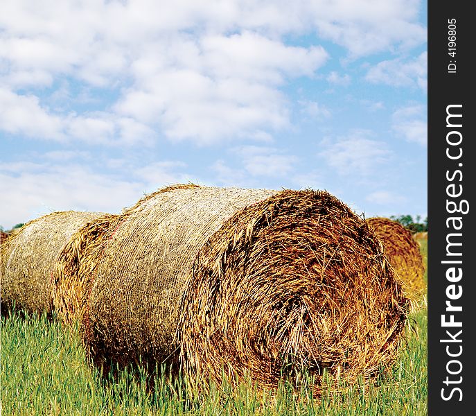 Straw hay bales in the country