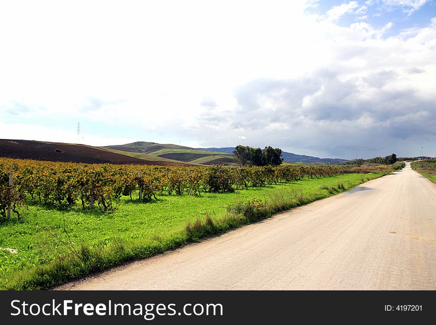 Road in the green autumnal vineyards, green & gold Country. Autumnal travel background. Sicily. Road in the green autumnal vineyards, green & gold Country. Autumnal travel background. Sicily