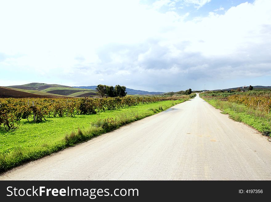 Straight Green Road In Autumn