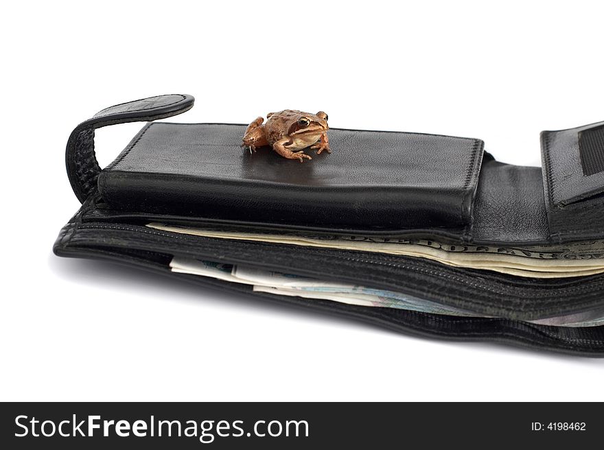 The frog is sitting on a wallet with money. The frog is sitting on a wallet with money