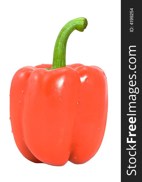 Red pepper isolated on white background. Red pepper isolated on white background