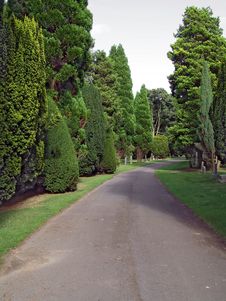 Cemetary Path 4 Stock Photos Cemetary Path 4 Stock Photos
